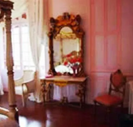 Chateau Estefani